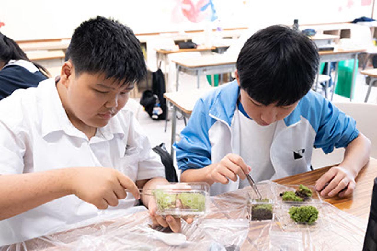 全級周會減壓活動